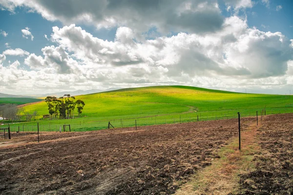 Groene Heuvels Velden Achtergrond — Stockfoto