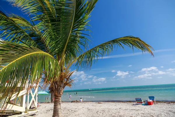 Красивый Пляж Пальмами Голубым Небом — стоковое фото