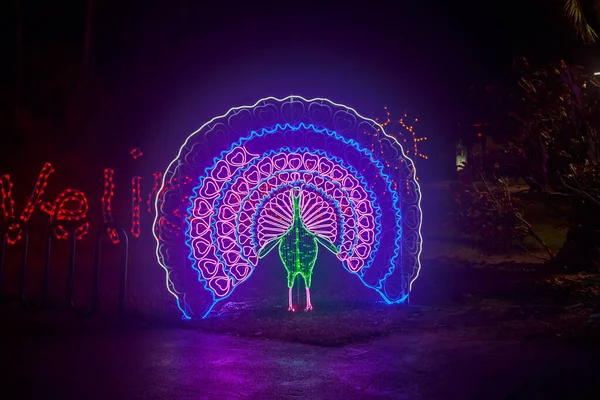 Kleurrijke Gloeiende Neon Lichten Mooie Nacht Scene — Stockfoto