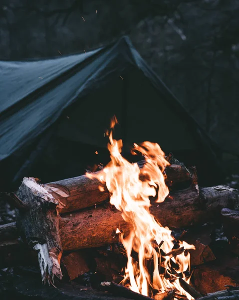 Bonfire Forest Firewood Campfire — 스톡 사진