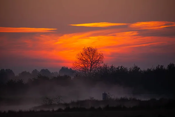 Schöner Sonnenuntergang Auf Dem Hintergrund Der Natur — Stockfoto