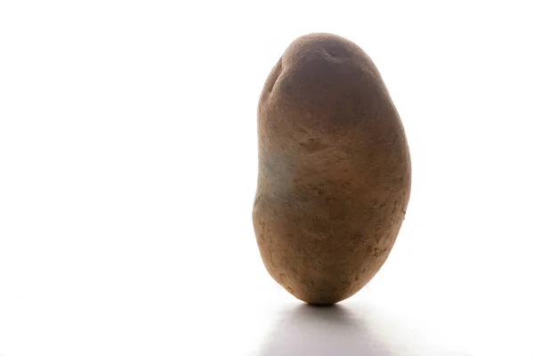 Картофельный Клубень Белом Фоне — стоковое фото