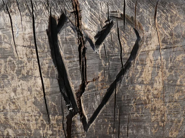 Altes Holzbrett Mit Herz Auf Dem Hintergrund Eines Baumes — Stockfoto