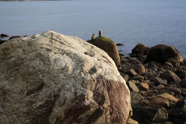 岩石和石头构成的海岸 — 图库照片