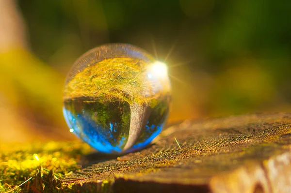 Скляна Куля Зеленим Листом Фоні Планети Земля — стокове фото