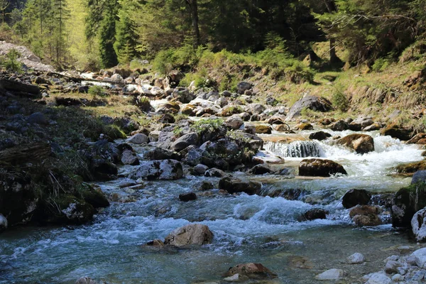 Dağlardaki Güzel Dağ Nehri — Stok fotoğraf