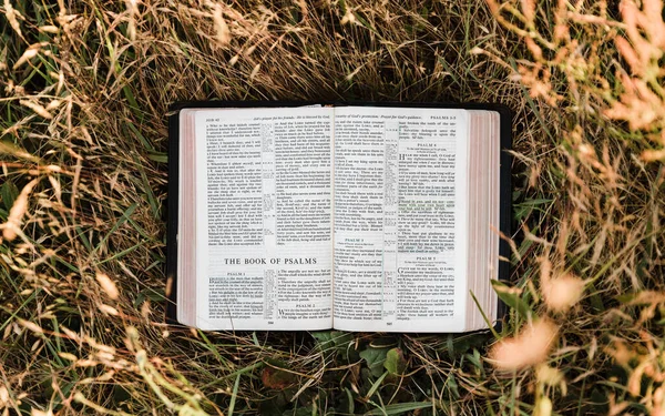 Çimlerin Üzerinde Kitap Okumak — Stok fotoğraf