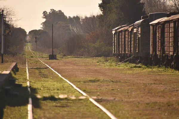 Velhas Trilhas Trem Madeira Parque — Fotografia de Stock