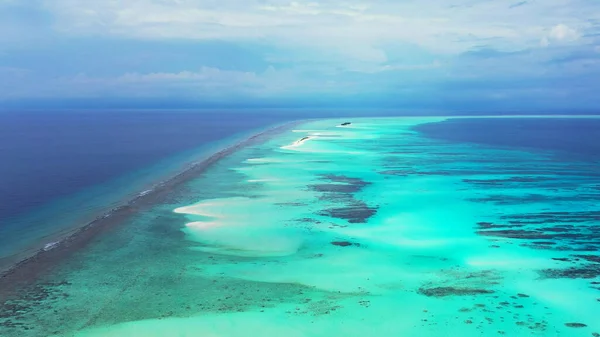 Letecký Pohled Tropickou Pláž Palmami Modrou Oblohou — Stock fotografie