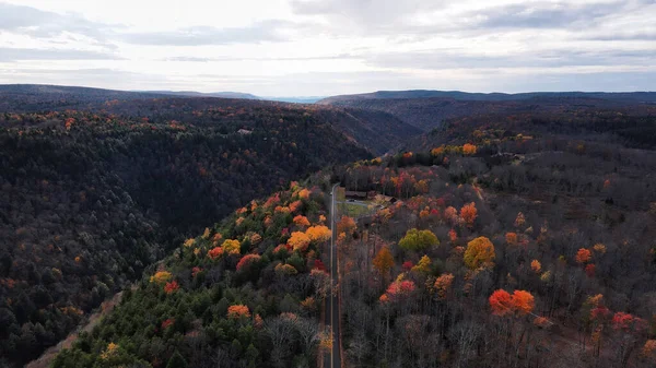 Piękny Jesienny Krajobraz Drzewami Lasem — Zdjęcie stockowe