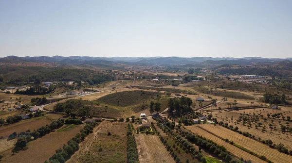 Schöne Luftaufnahme Der Weinberge Vor Dem Hintergrund Der Berge — Stockfoto
