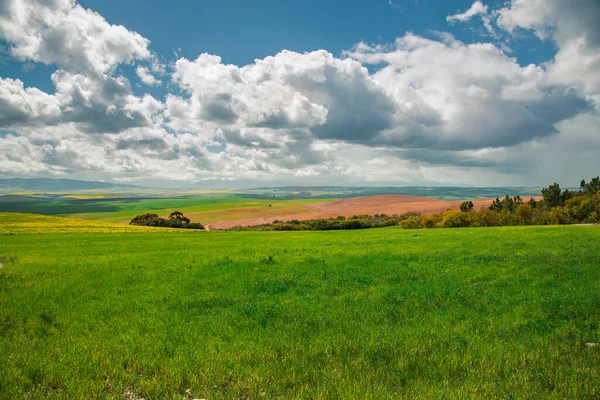 Sommerlandschaft Mit Grünen Feldern Und Wiesen Hintergrund — Stockfoto