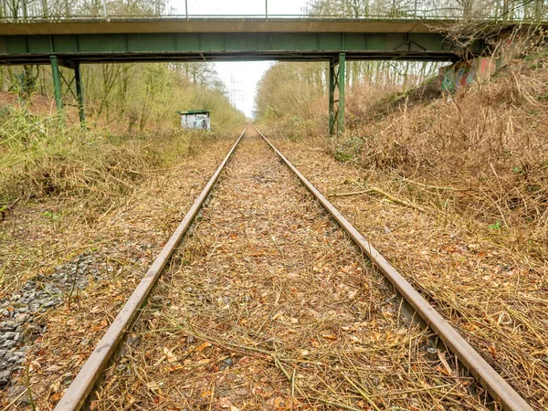 Железнодорожные Пути Дороге — стоковое фото