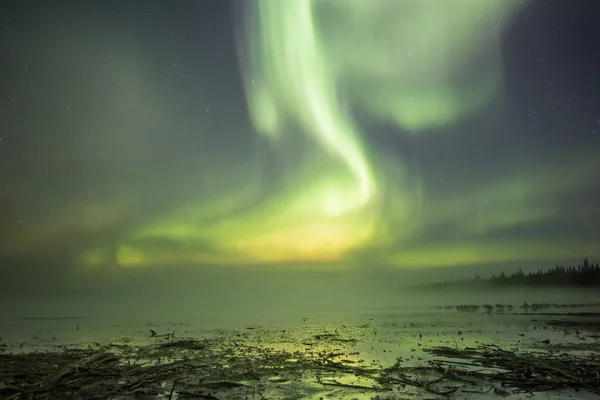 Luci Del Nord Sul Mare Artico Ghiandaia — Foto Stock