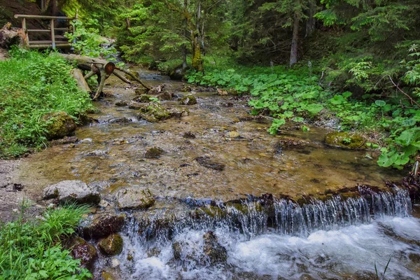 Schöner Wasserfall Wald — Stockfoto