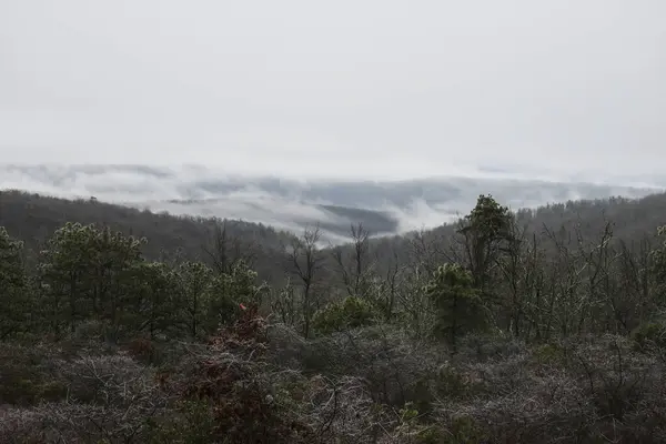 Bela Paisagem Com Uma Montanha Fundo — Fotografia de Stock