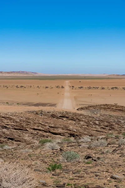 Vue Sur Désert Dans Parc National Namib Namibie — Photo