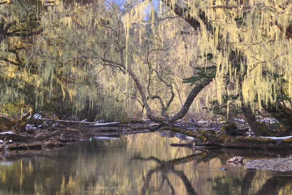 Bellissimo Paesaggio Con Fiume Lago — Foto Stock