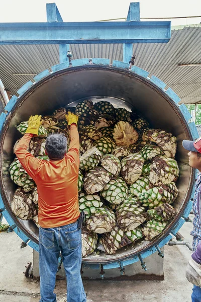 Homem Chapéu Com Uma Cesta Legumes — Fotografia de Stock