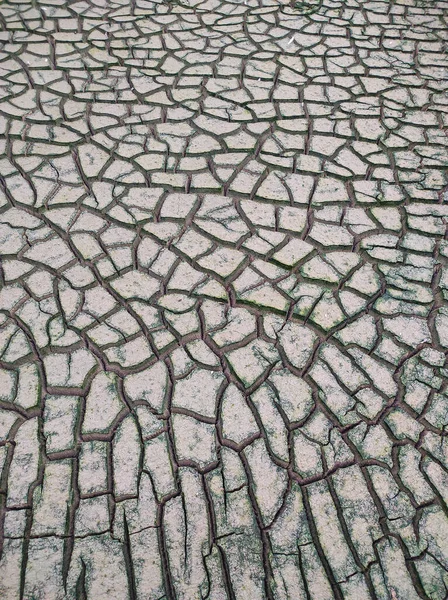 Texture Pierre Fissurée Dans Désert — Photo