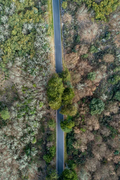 Vanuit Lucht Zicht Weg Door Het Bos — Stockfoto