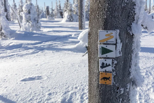 Holzschild Einer Bergstraße Schnee — Stockfoto