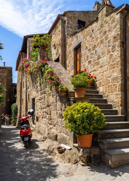 Hermosa Calle Casco Antiguo Kotor Montenegro — Foto de Stock