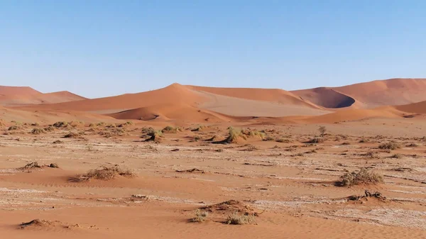 Gyönyörű Táj Namib Sivatag Szaharában Namíbia — Stock Fotó