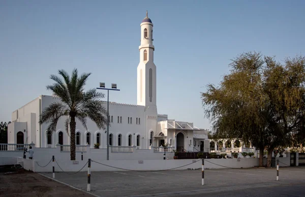 View Mosque City — Stock Photo, Image