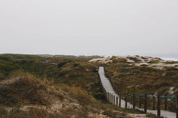 Beautiful Shot Wooden Fence Beach Road — ストック写真