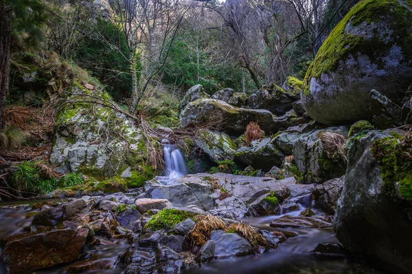 Vackert Vattenfall Skogen — Stockfoto