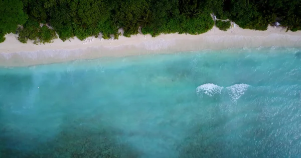 ヤシの木とターコイズブルーの水の美しい熱帯ビーチの空中ビュー — ストック写真