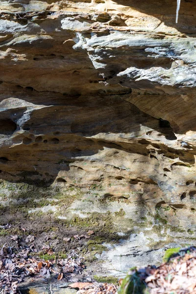 Bella Vista Sulla Natura — Foto Stock