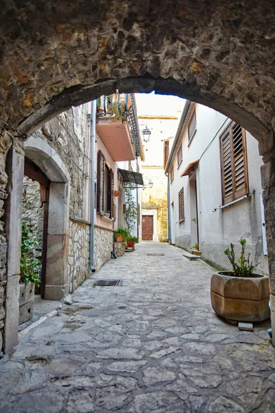 Cidade Velha Cidade Kotor Montenburgh — Fotografia de Stock