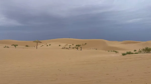 Піщані Дюни Пустелі — стокове фото