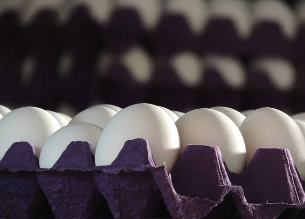 白い背景の段ボールの箱の中の卵 — ストック写真