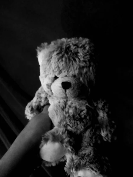 Ours Peluche Avec Fond Noir — Photo