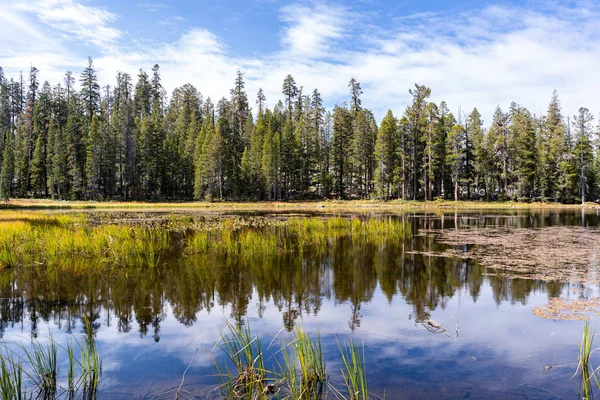 Krásná Krajina Jezerem Pozadí — Stock fotografie