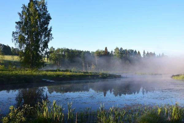 Vackert Landskap Med Flod — Stockfoto