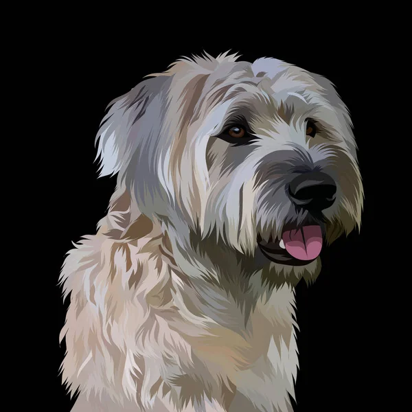 Голова Собаки Ілюстрація Вектор Чорному Тлі — стокове фото