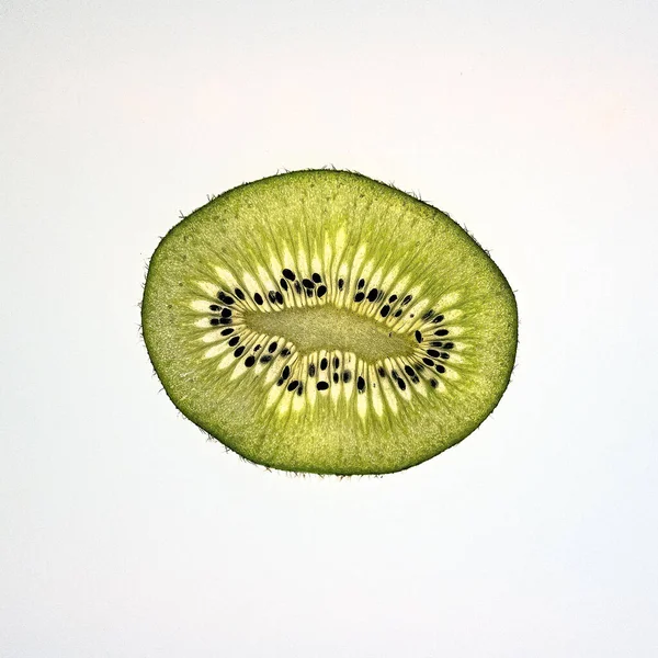 Kiwi Fruits Sur Fond Blanc — Photo