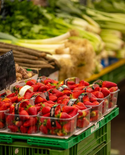 Świeże Warzywa Ekologiczne Rynku — Zdjęcie stockowe