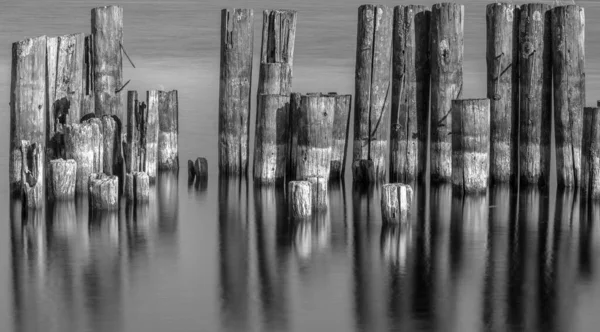 Zwart Wit Foto Van Een Houten Brug — Stockfoto