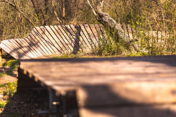 Houten Brug Het Bos — Stockfoto