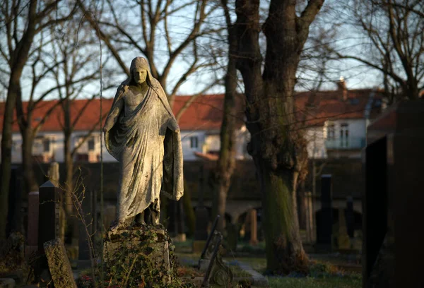 Statue Woman Park — Stock Photo, Image