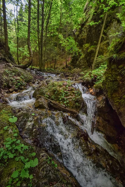 Arroyo Montaña Que Fluye Las Montañas Una Pequeña Cascada Con —  Fotos de Stock