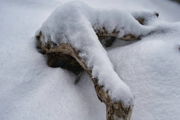 Χιόνι Καλυμμένο Λευκά Αφράτα Παγάκια Στο Έδαφος — Φωτογραφία Αρχείου