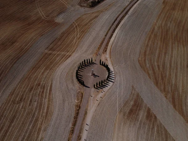 美しい模様の木の板を切り取ったものです — ストック写真