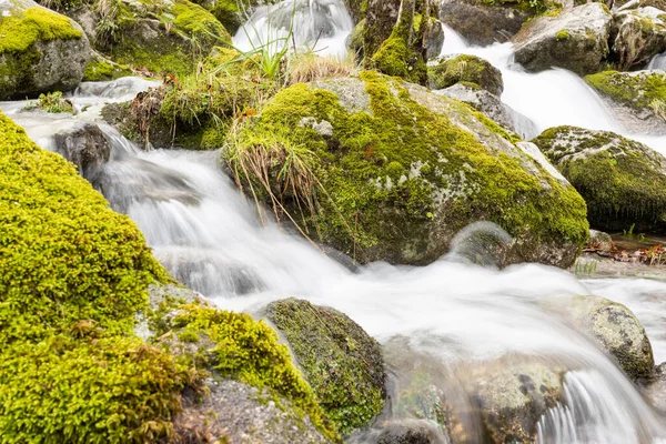 Krásný Vodopád Lese — Stock fotografie