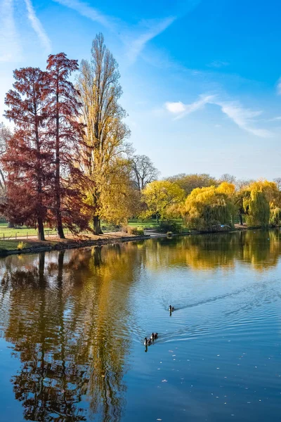 Paysage Automne Avec Arbres Feuilles Vertes — Photo